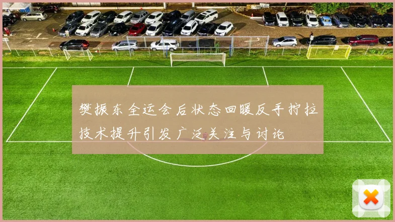 樊振东全运会后状态回暖反手拧拉技术提升引发广泛关注与讨论