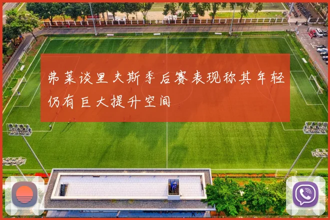 弗莱谈里夫斯季后赛表现称其年轻仍有巨大提升空间