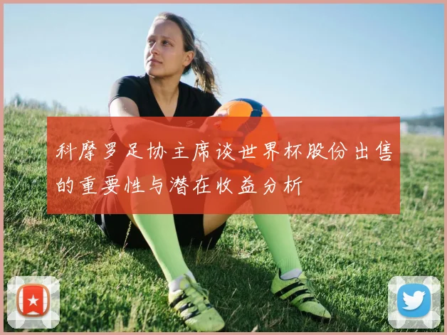 科摩罗足协主席谈世界杯股份出售的重要性与潜在收益分析