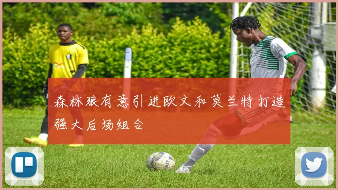 森林狼有意引进欧文和莫兰特打造强大后场组合
