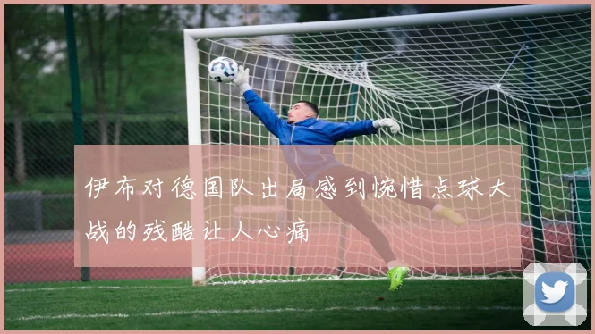 伊布对德国队出局感到惋惜点球大战的残酷让人心痛